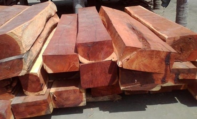 Gỗ Đinh Hương Là Gì? Giá, Cách Nhận Biết Từ Thợ 18 Năm