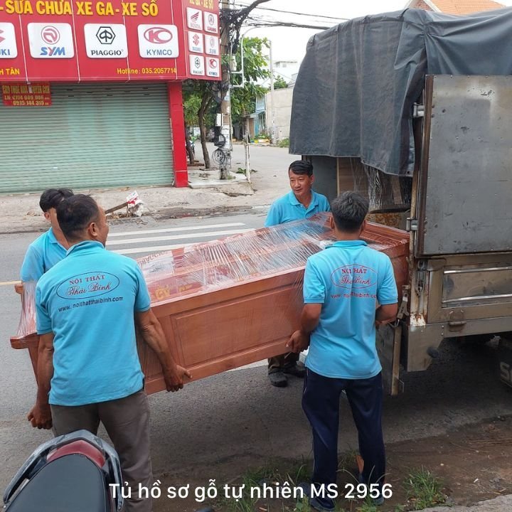 Tủ tài liệu 2 cánh