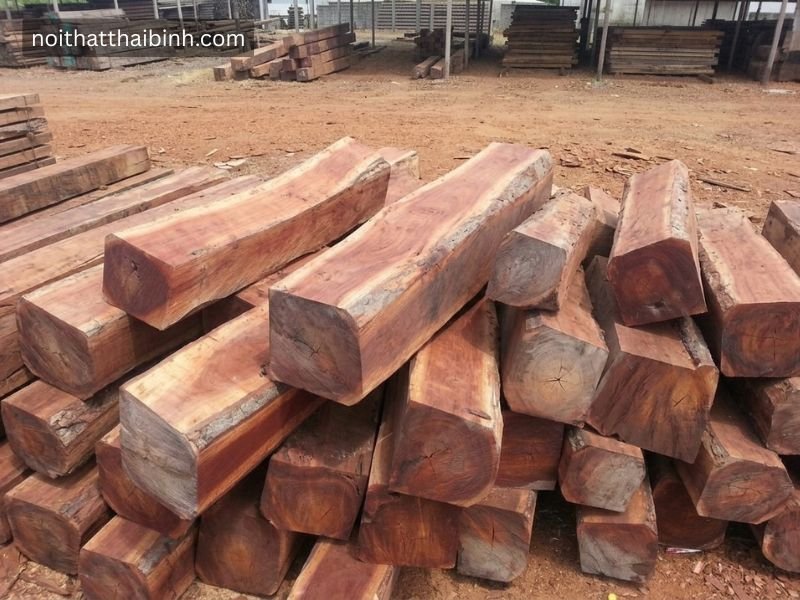 Gỗ bên là gì? Đặc điểm, ứng dụng và kinh nghiệm chọn mua chuẩn thợ mộc