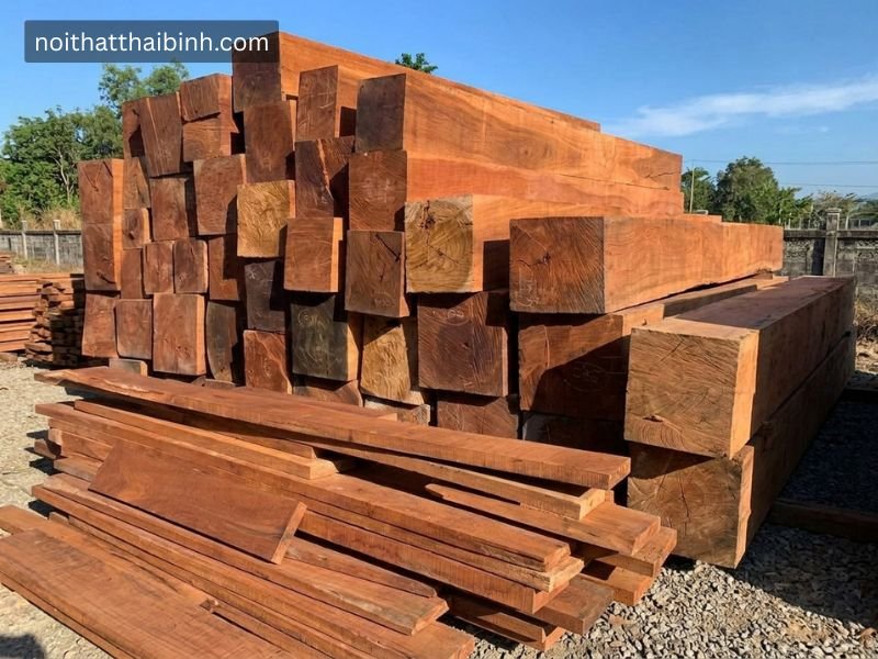 Gỗ bên là gì? Đặc điểm, ứng dụng và kinh nghiệm chọn mua chuẩn thợ mộc