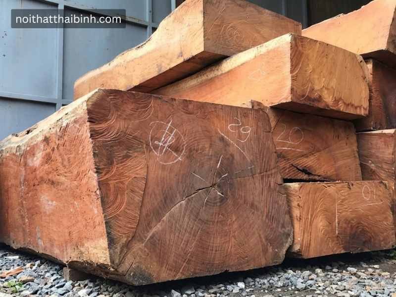 Gỗ Gõ Đỏ Là Gì Có Quý Không? Giải Đáp Chi Tiết Từ Thợ Mộc