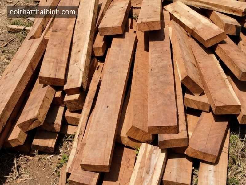 Gỗ Gõ Đỏ Là Gì Có Quý Không? Giải Đáp Chi Tiết Từ Thợ Mộc